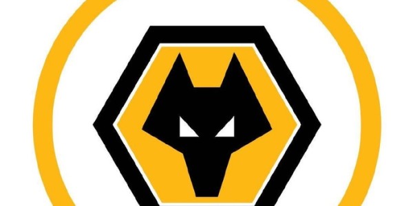 狼队更换头像引发新旧对比讨论