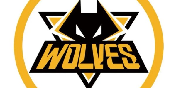狼队更换头像引发新旧对比讨论